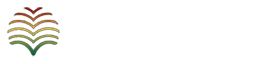 light logo