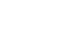 Palm Moments